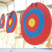 Outdoor Practice Shooting Dart Board
