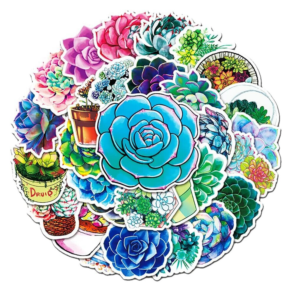 Succulent plants are waterproof for teenagers and children, and unique vinyl stickers Computer thermos cups luggage and mobile phones are 50Pcs.
