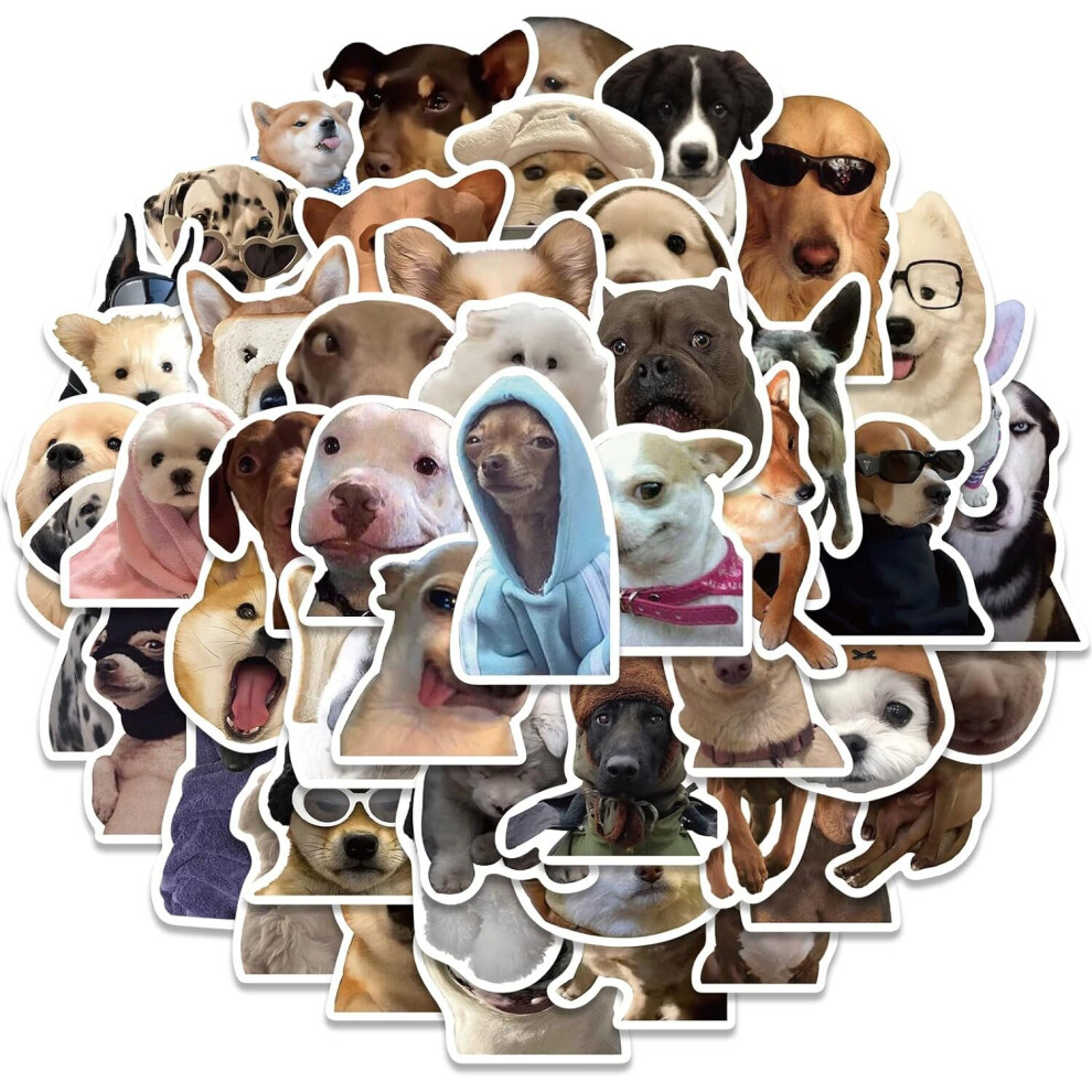 Tianfu 50Pcs Funny Animals Dogs Meme Stickers For Laptop Water Bottle,Vinyl Waterproof Graffiti Decals For Luggage Guitar Phone,Adults Teens Gift