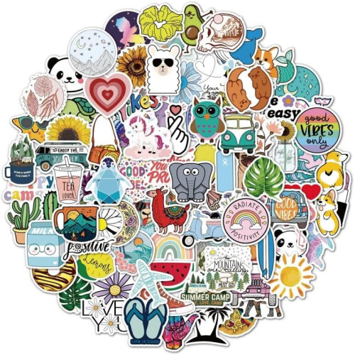 100pcs Water Bottle Laptop Stickers, Waterproof Vinyl Sticker Pack ...