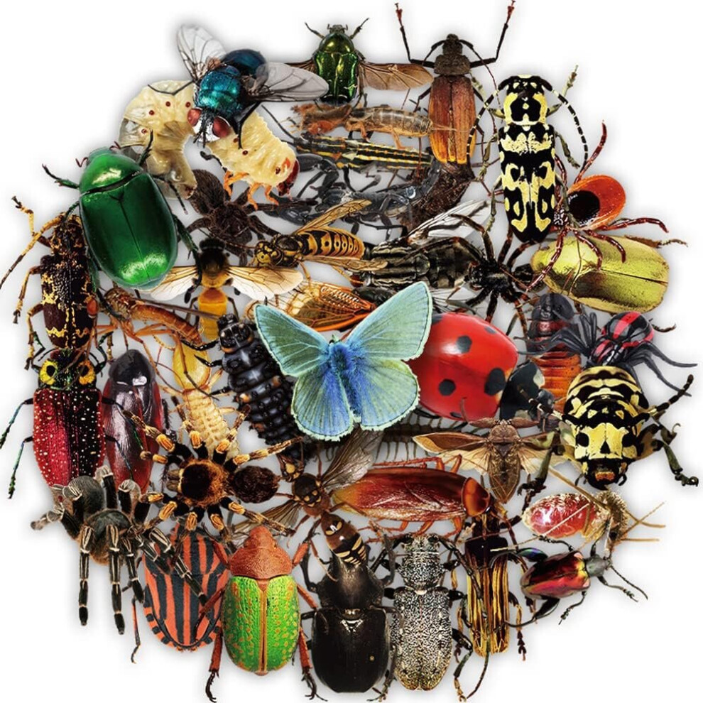 Tianfu 50 Pcs For Kids Teens Waterproof Stickers Insect And Zoo Animal Sticker Laptop Water Bottle Phone Skateboard Stickers Girls Boys Sticker