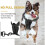 No Pull Dog Harness, Dog Harness With Handle, Reflective Dog Harness For Outdoor 2