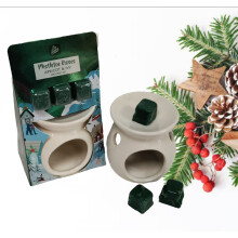 Christmas Wax Melts and Burner Set Mistletoe Kisses Apricot and Ivy
