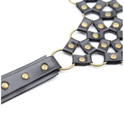 Collar To Waist Harness 1