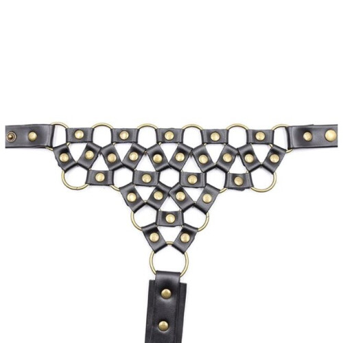 Collar To Waist Harness 2