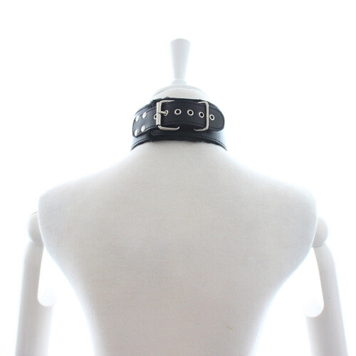 Red Furry Bondage Collar and Lead 1