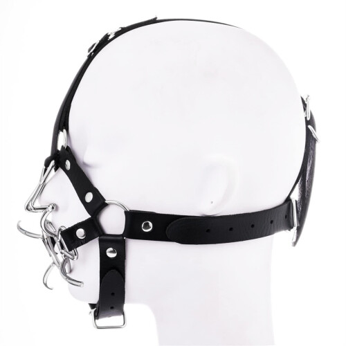 Leather Face Harness and Anal Kit 1