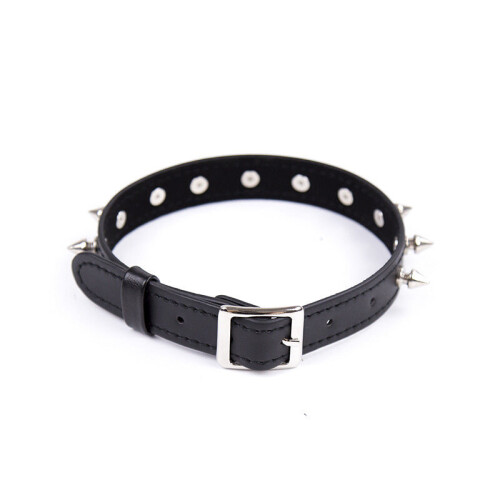 Spike Collar 1