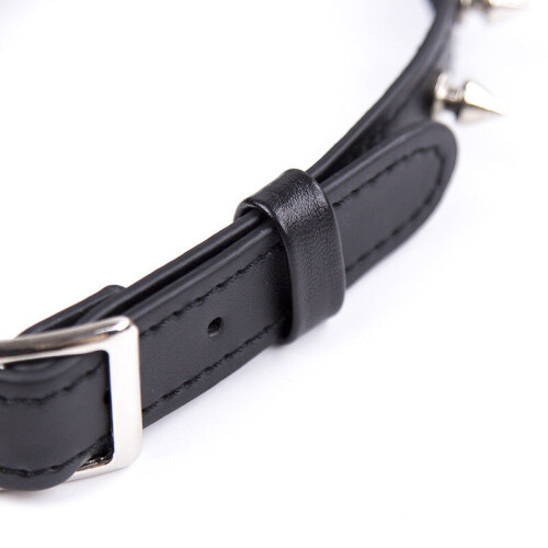Spike Collar 2