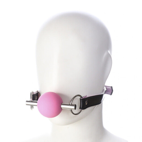 Pink Silicone Ball Gag and Bit