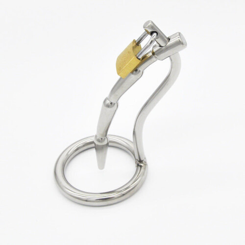 Scorpion Design Chastity Device 2