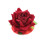 Red Velvet Blooming Rose Nipple Pasties 2