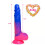 9 Inch Colourful Dildo 3