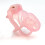 Fetish Fantasy Plastic Chastity Device (Pink) 1