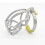 Stainless Steel Claw Chastity Cage 1