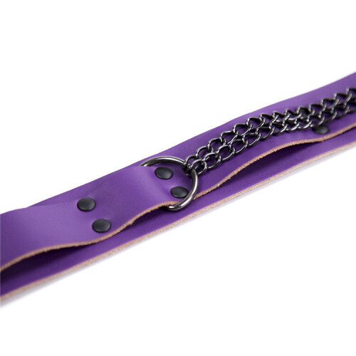 Purple Collar and Nipple Clamps 2