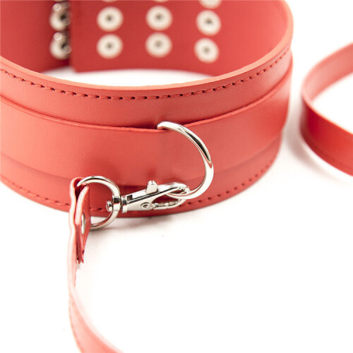 Faux Leather Collar and Loop Lead 2