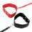 Flat Section Red Faux Leather Collar and Lead 1
