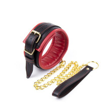 Red Faux Leather Gold Toned Collar and Lead