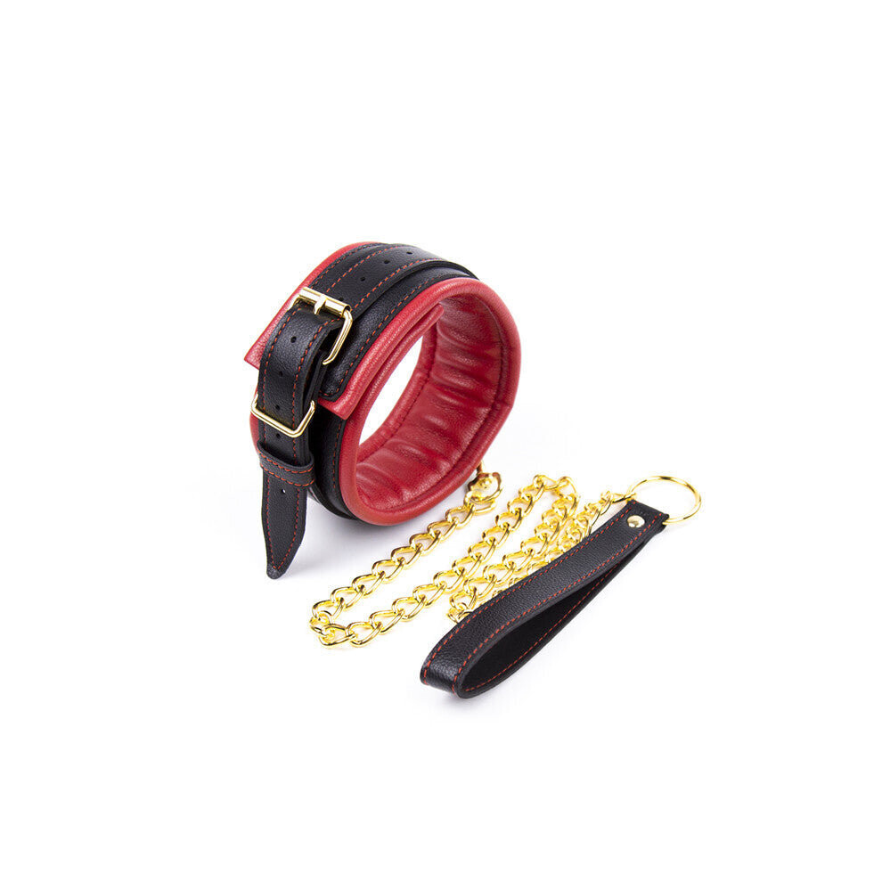 House Of Glass Red/Gold Faux Leather Toned Collar And Lead