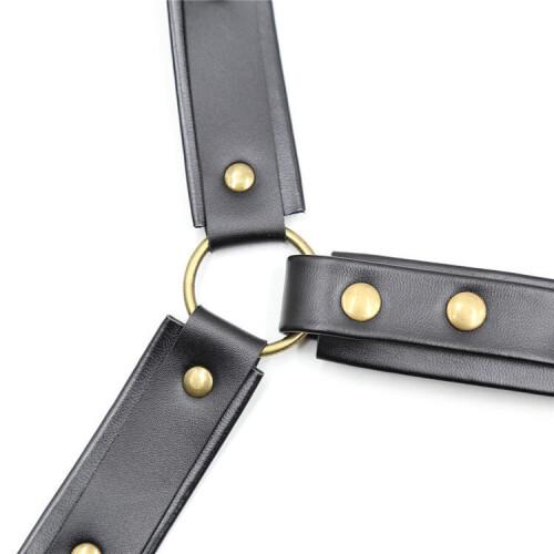 Gold Hardwear Neck Collar 2