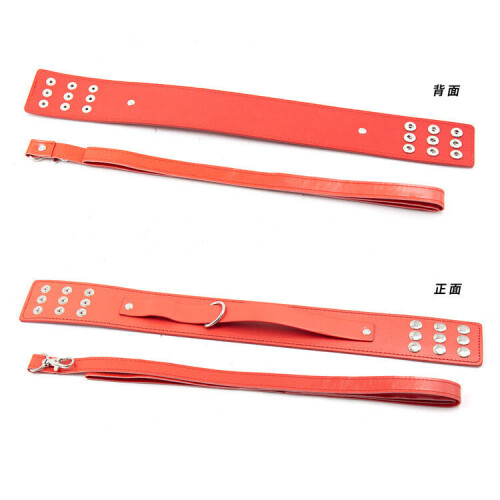 Faux Leather Collar and Loop Lead 1