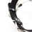 Chained Collar to Nipple Clamp 4
