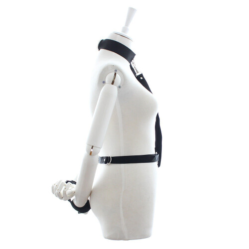 Body Harness with Dog Lead 1