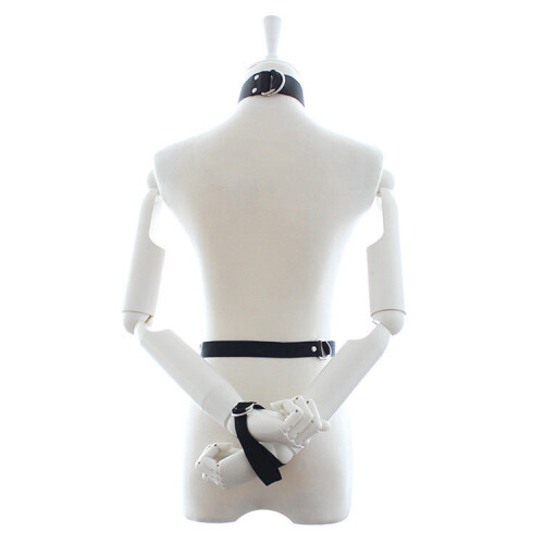 Body Harness with Dog Lead 2