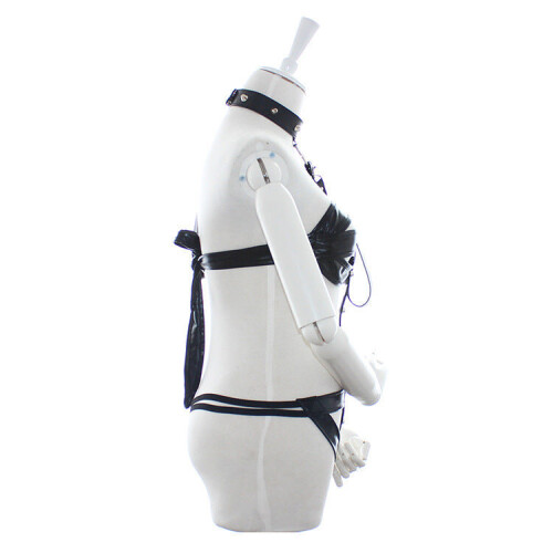 Dirty Dog Body Harness 1