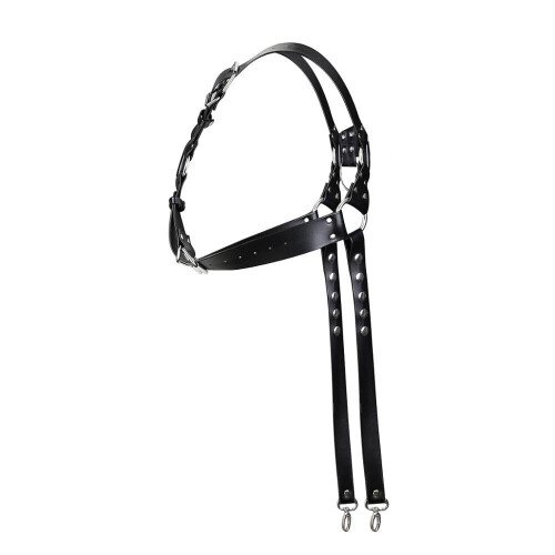 Men's Kinky Harness 1