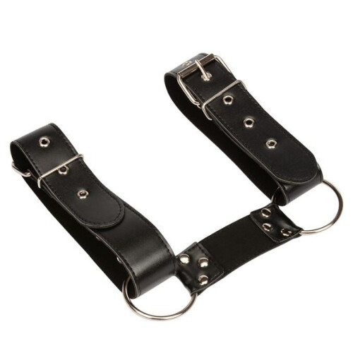 Armed and Amorous Restraint 2