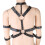 Double Arm Restraint Body Harness 5