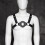 The Chest Fetish Harness 4