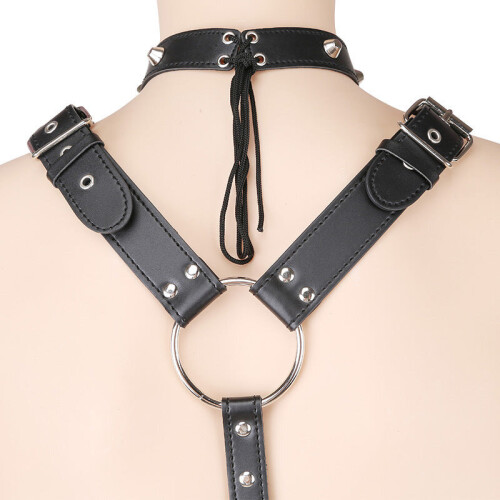Double Arm Restraint Body Harness 1