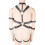 Double Arm Restraint Body Harness 3