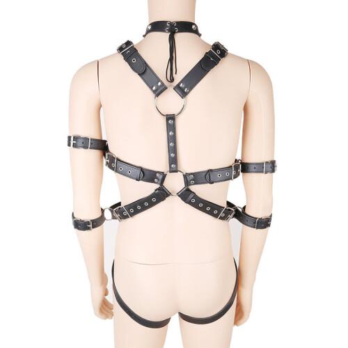 Double Arm Restraint Body Harness 2