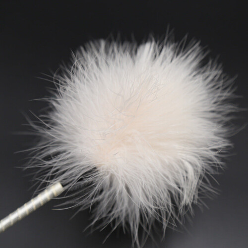 Feather Tickler Riding Crop 2