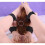 Intimate Ring Hogtie 1