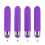 Wild Heart 10 Function Rechargeable XL Purple Bullet Vibrator 1