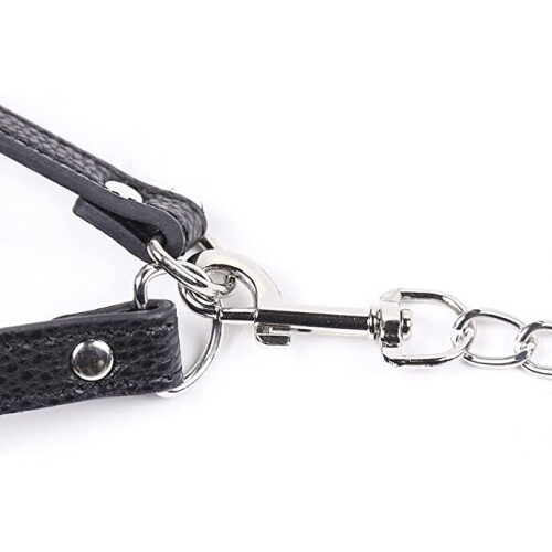 Leather Penis Cage with a Chain and Lead 2