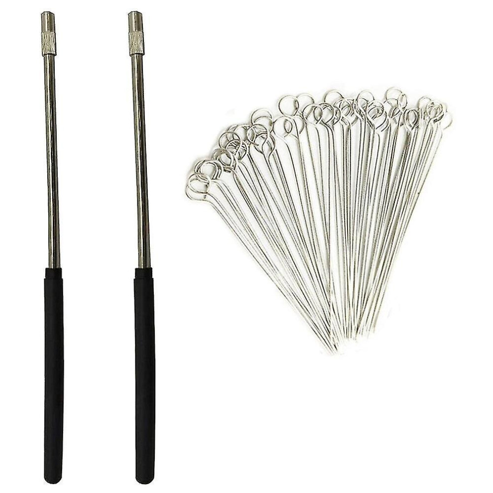 2pcs Reusable Inoculating Loop Holders With 50pcs 10ul Nichrome Needle Tips Inoculation Loop For La