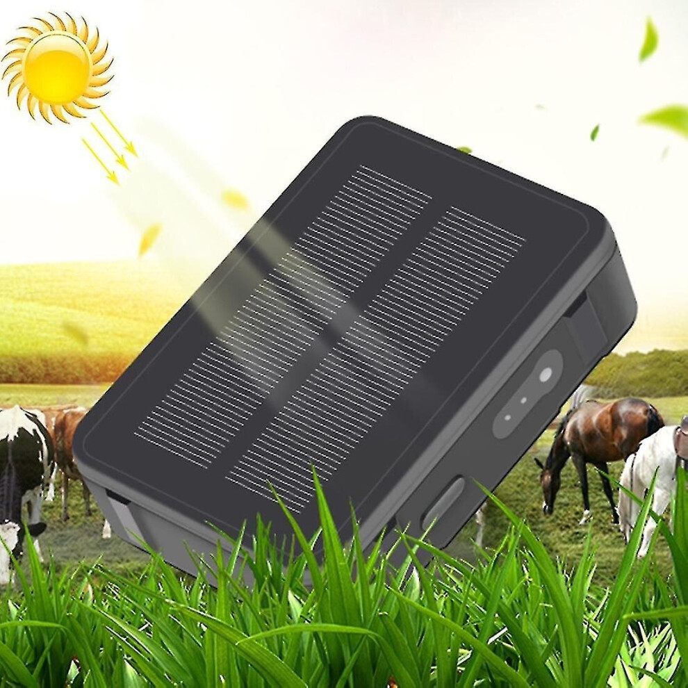 Rf-v34 Sheep Cow Cattle Livestock Solar Gsm Gps Wifi Tracking