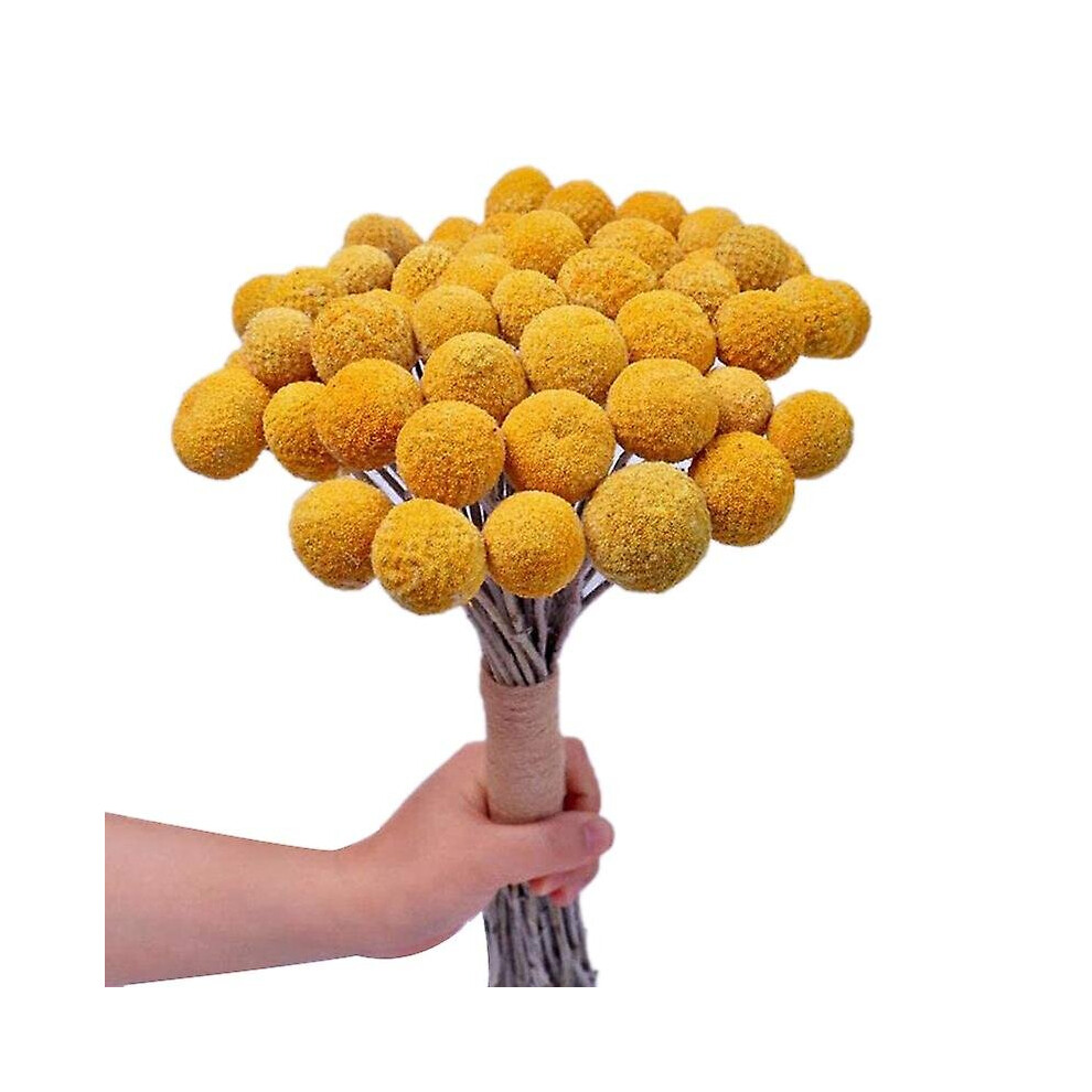 Natural Dried Flower Yellow Ball Bouquet Bunch, Real Freshly Harvested Dried Plant Bunch, Decoration