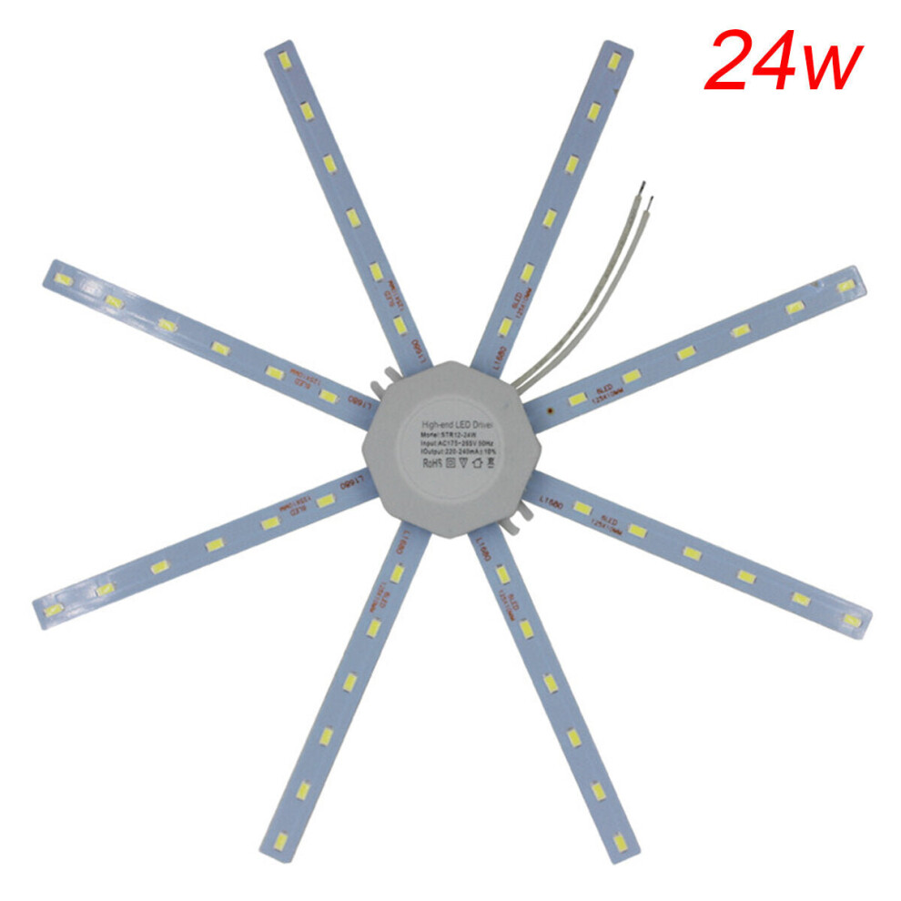 (24W, White Light) LED Ceiling Lamp Octopus Indoor Light Board Energy Saving 220V 12W 16W 20W