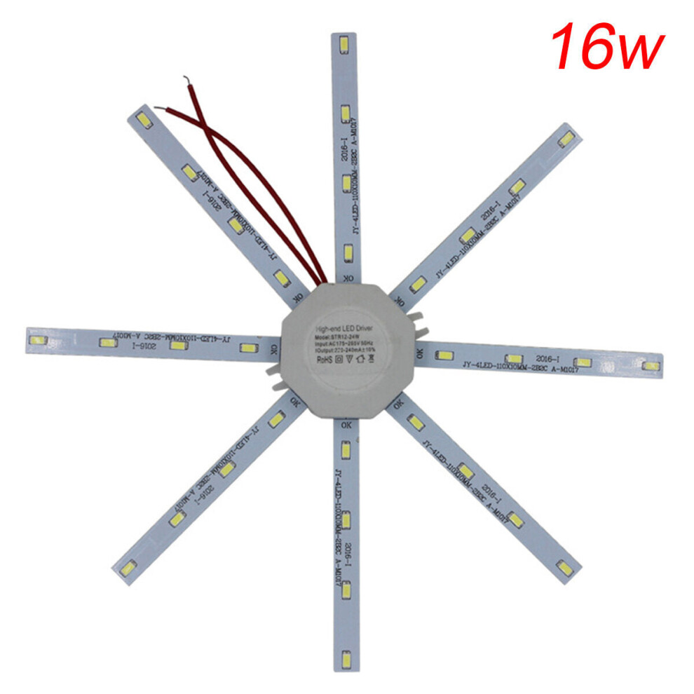 (16W, White Light) LED Ceiling Lamp Octopus Indoor Light Board Energy Saving 220V 12W 16W 20W