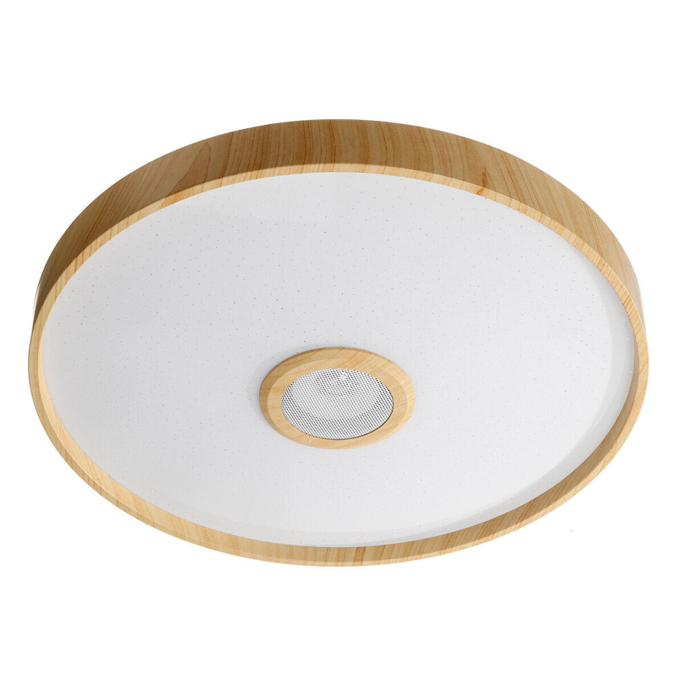 (110-220V) 38CM Ceiling Light with BT Speaker Dimmable Modern Smart Home Party Light Control Light Color Brightness and Music