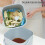 Compost Bin -for Everyday Organic Waste In The Kitchen - Odour-proof-removable Inner Insert-organic 4