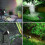 Solar Garden Lights With 4 Led Plant Light Adjustable Flexible 2