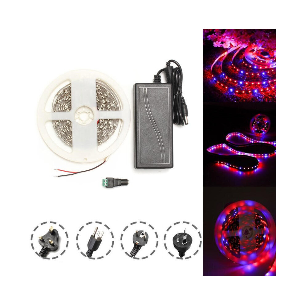 (AU Plug) DC12V 5M Red:Blue 3:1 Waterproof 5050 Full Spectrum Grow LED Strip Lights kit for Plant